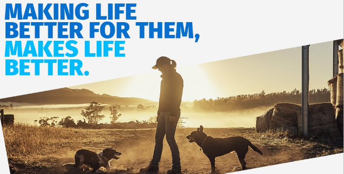 ahrebates com seresto