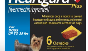 Save on Pet Purchases with Nexgard & Heartgard Rebates